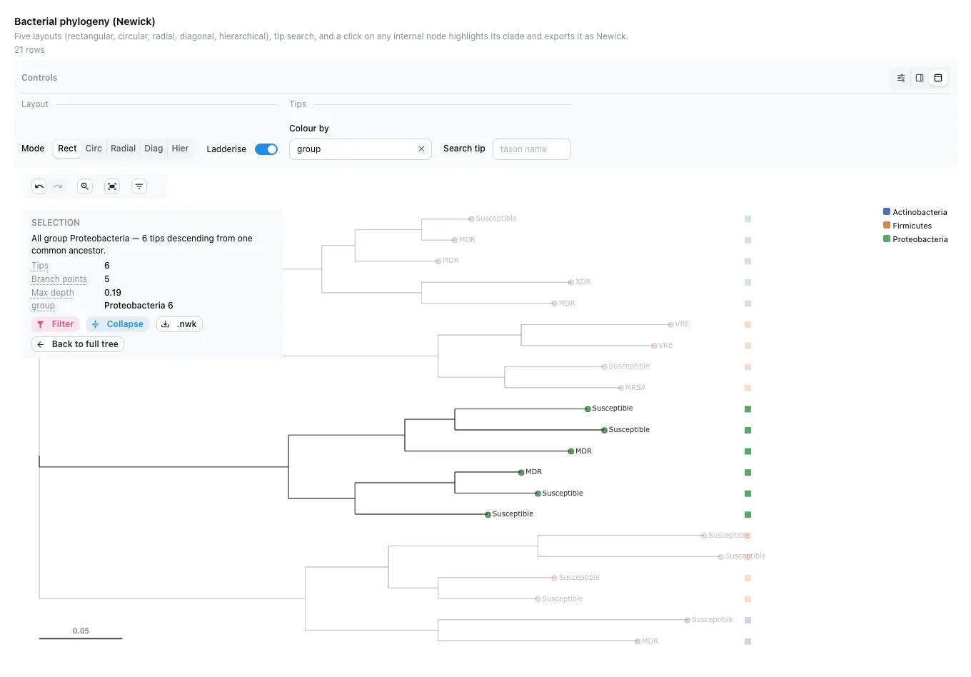 A selected clade, with the rest of the tree dimmed