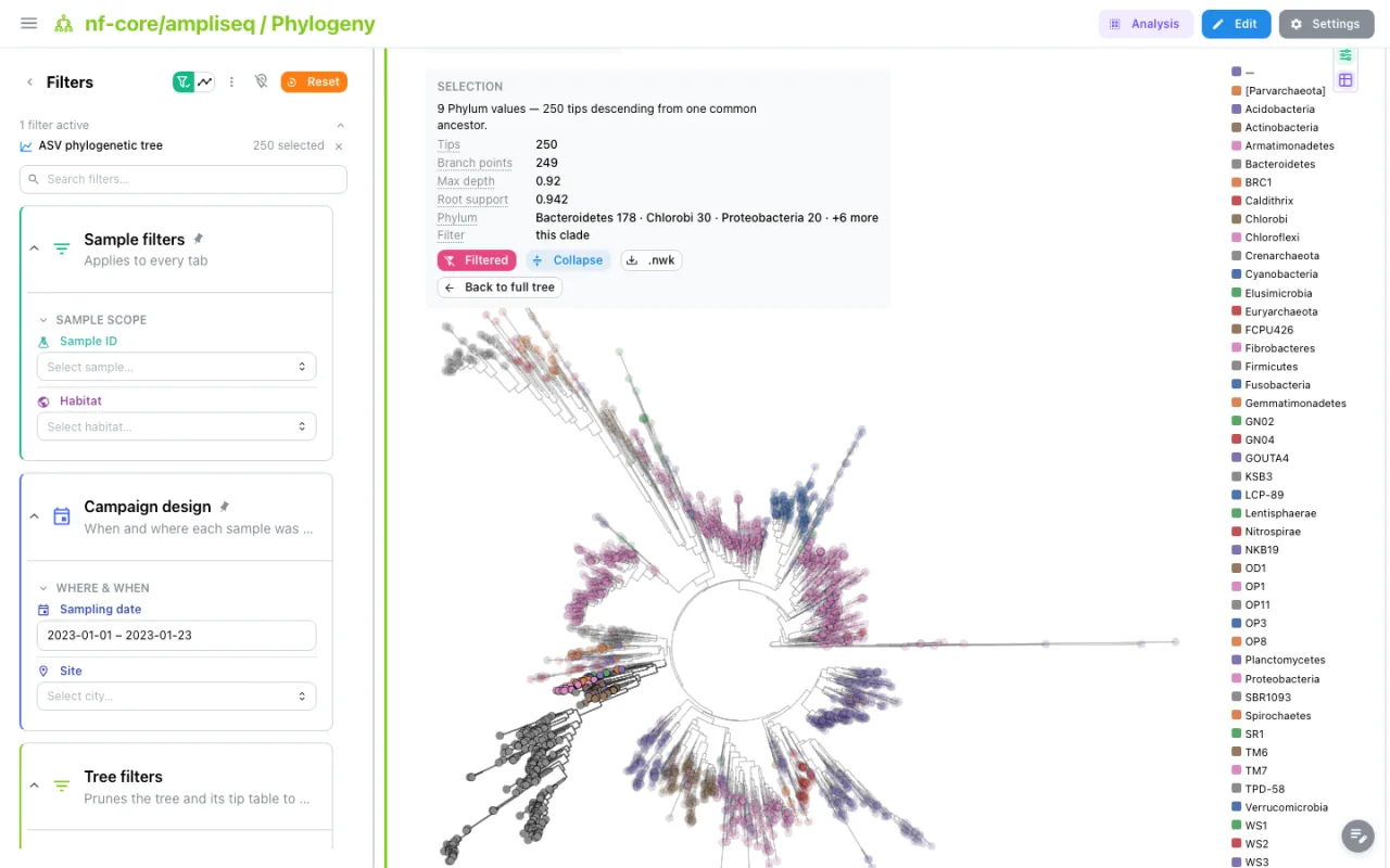 A clade selected on a phylogenetic tree, its summary panel open and the dashboard filtered to the 250 tips it holds